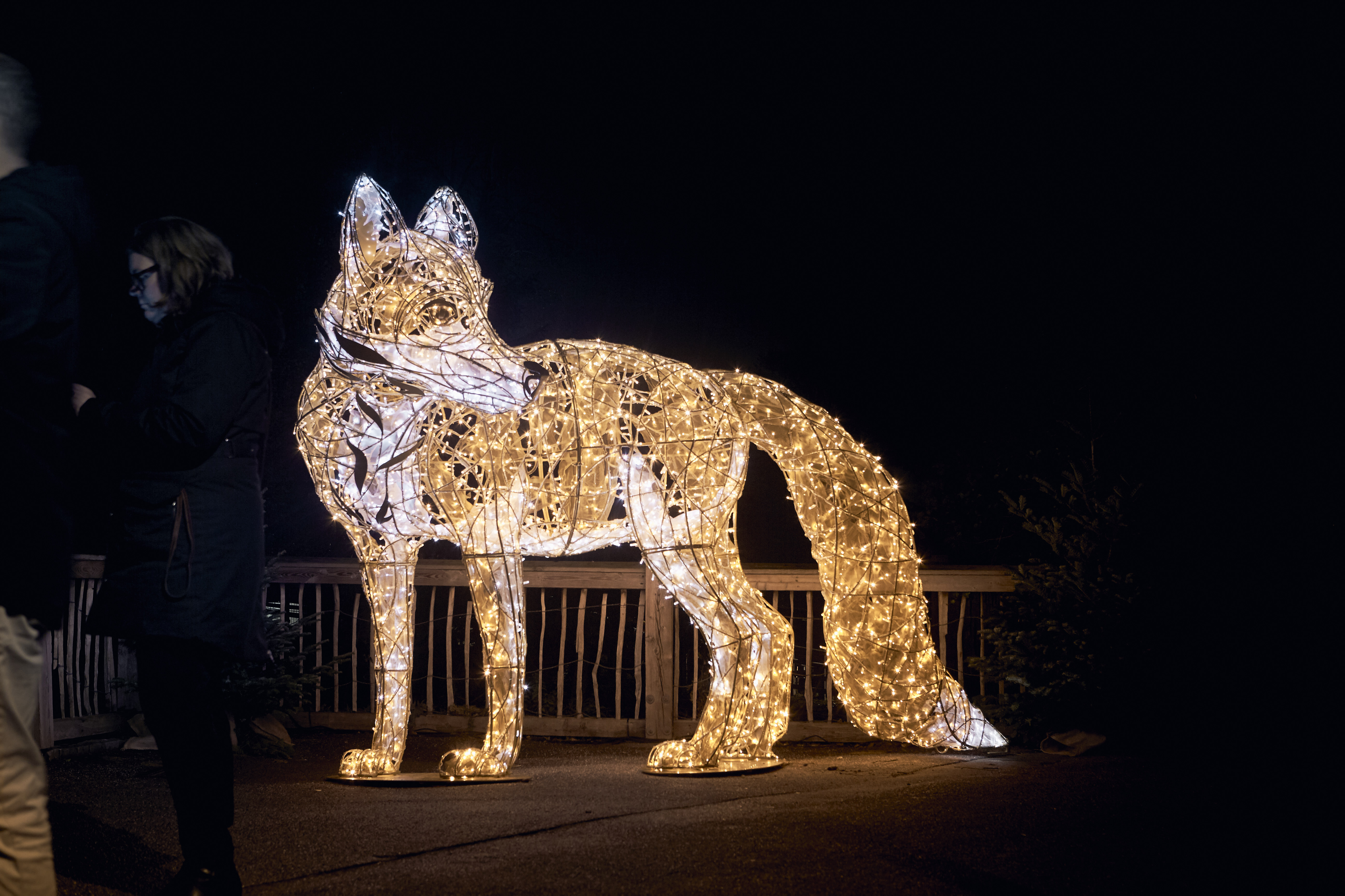 Zoo Lichtskulptur Weihnachtsbeleuchtung